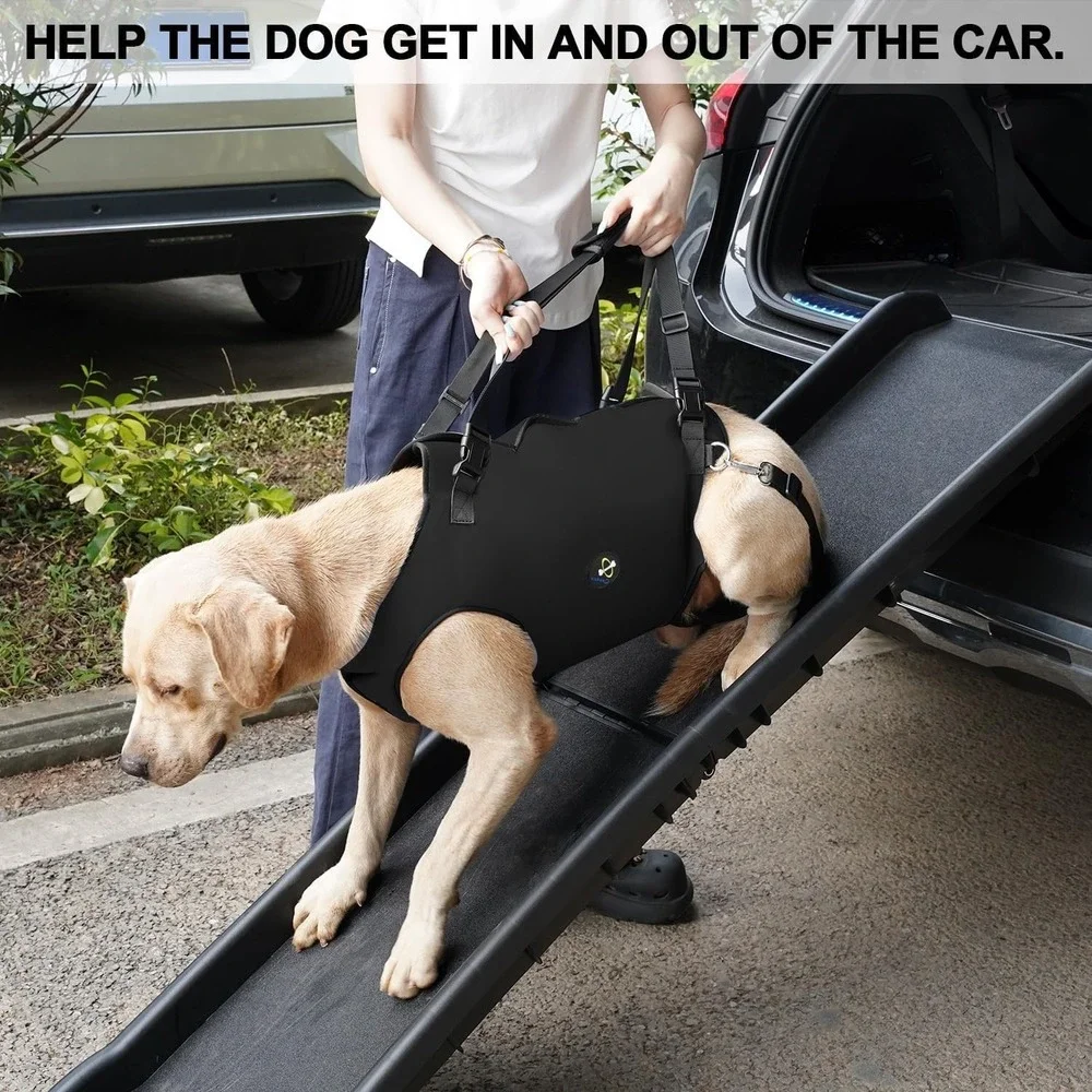 Coodeo Pet Support Harness XS Dog Sling Lift for Disabled Dogs Walking Aid Black